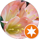 Debora G.D.F profile picture